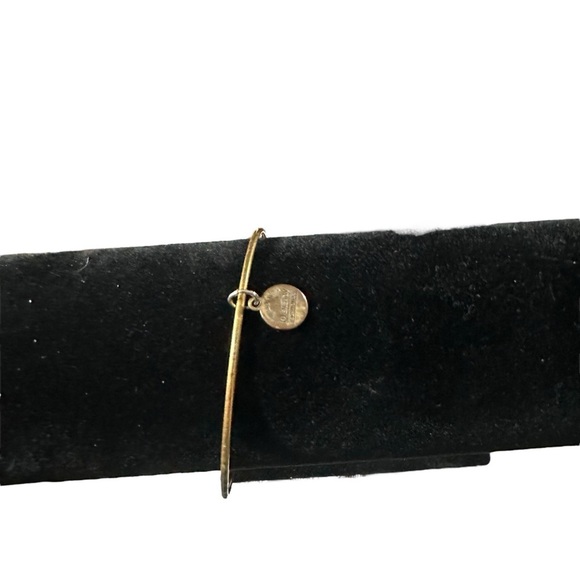 Signed Alex & Ani x Disney Copper Tone Mickey Mouse Initial C Adjustable Bangle - Picture 4 of 10